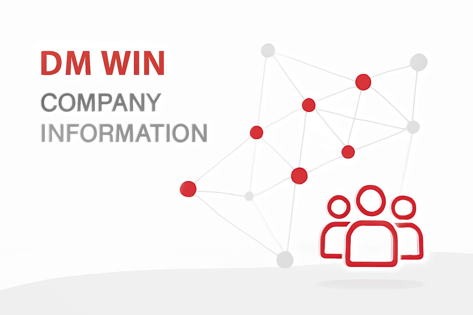 DM Win Company Information Interface